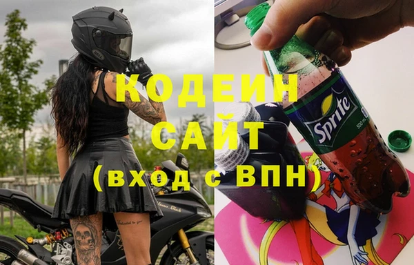 индика Бабаево