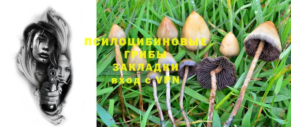 MDMA Premium VHQ Бородино