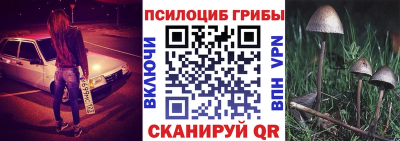 Галлюциногенные грибы прущие грибы  Гулькевичи 