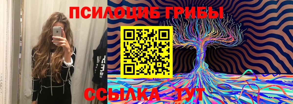 Галлюциногенные грибы Magic Shrooms  Гулькевичи 